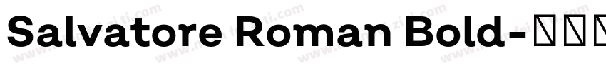 Salvatore Roman Bold字体转换